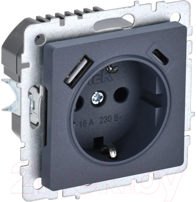 Розетка IEK Brite BR-R14-16-U22-018-K35 - фото