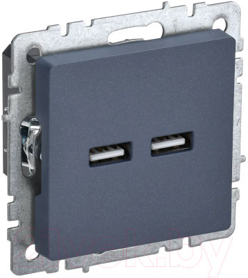 Розетка IEK Brite BR-U21-D31-K35 - фото