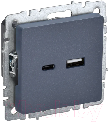 Розетка IEK Brite BR-U22-018-K35 - фото