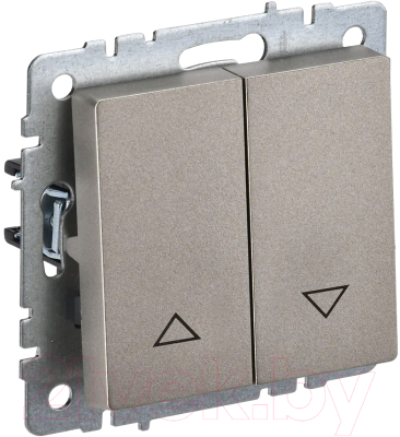 Выключатель IEK Brite BR-V15-0-10-K37 - фото