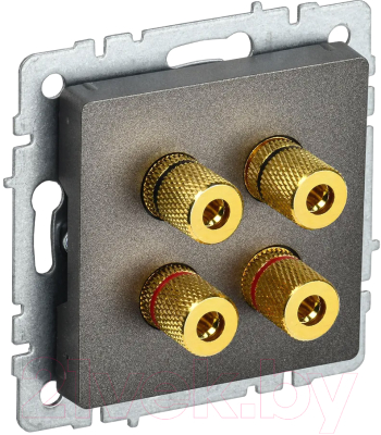 Розетка IEK Brite BR-S40-K45 - фото