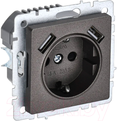 Розетка IEK Brite BR-R14-16-U21-D31-K45 - фото