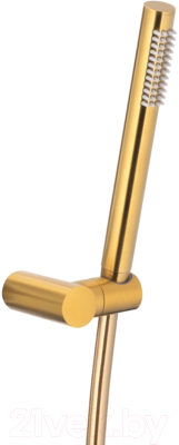 Душевой гарнитур Armatura Moza 841-225-31 - фото