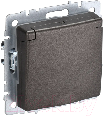 Розетка IEK Brite BR-R16-16-44-K45 - фото