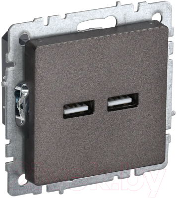 Розетка IEK Brite BR-U21-D31-K45 - фото