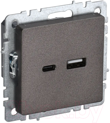 Розетка IEK Brite BR-U22-018-K45 - фото