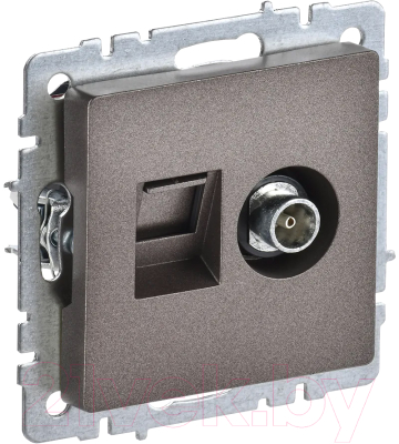 Розетка IEK Brite BR-AK20-1-K45 - фото