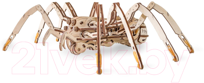 Конструктор EWA Паук