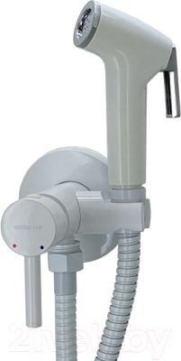 Гигиенический душ Wisent WG5398W-2 - фото