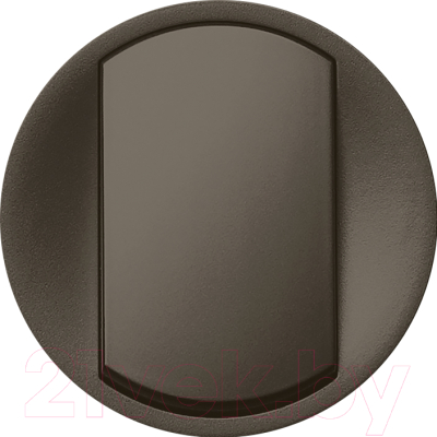 Лицевая панель для выключателя Legrand Celiane 67901 - фото