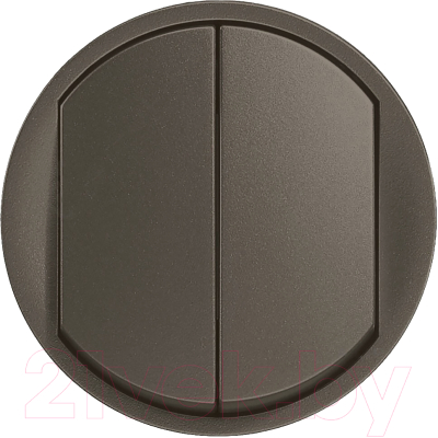 Лицевая панель для выключателя Legrand Celiane 67902 - фото