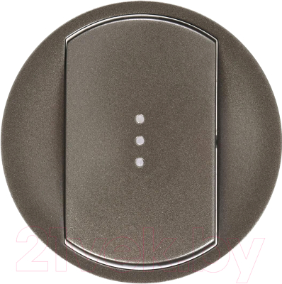 Лицевая панель для выключателя Legrand Celiane 67903 - фото