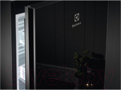 Холодильник с морозильником Electrolux LNT7ME34K1