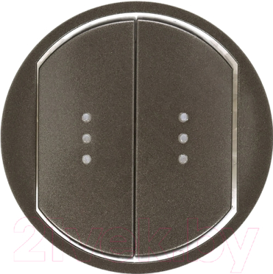 Лицевая панель для выключателя Legrand Celiane 67904 - фото