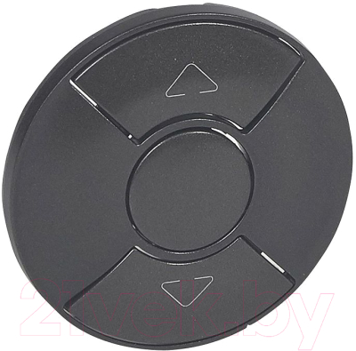 Лицевая панель для выключателя Legrand Celiane 67955 - фото