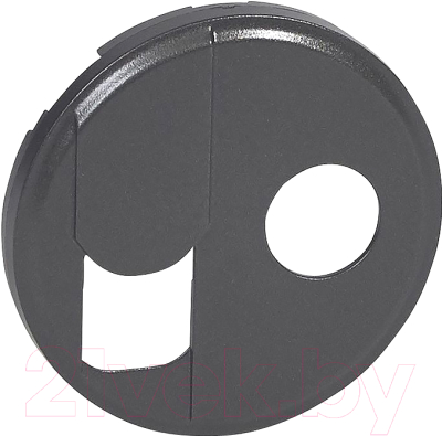 Лицевая панель для розетки Legrand Celiane 67939 - фото