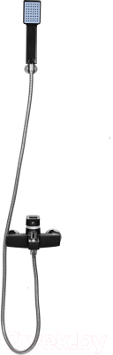 Смеситель Wisent WP3030-6