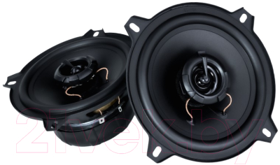 Коаксиальная АС AMP Mass 502