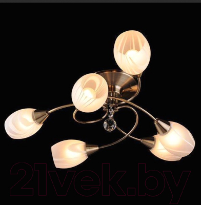 Люстра Евросвет Virginia 2275/6