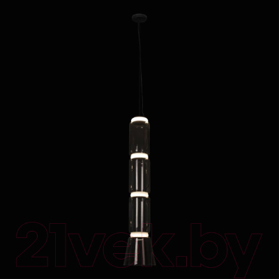 Потолочный светильник Loftit Noctambule 10193/L