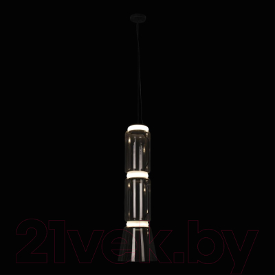 Потолочный светильник Loftit Noctambule 10193/M