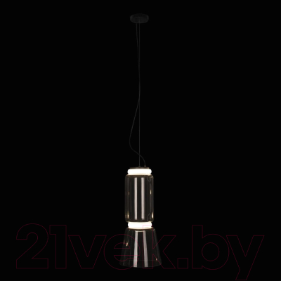 Потолочный светильник Loftit Noctambule 10193/S