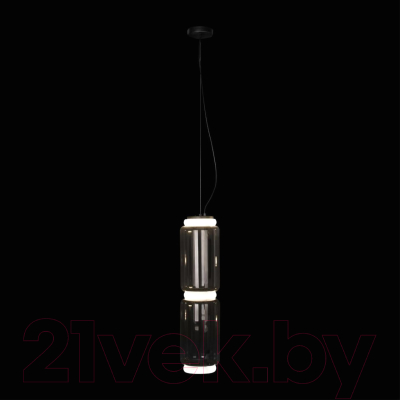 Потолочный светильник Loftit Noctambule 10194/M