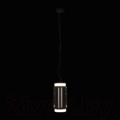 Потолочный светильник Loftit Noctambule 10194/S