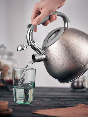 Чайник со свистком TalleR TR-11353