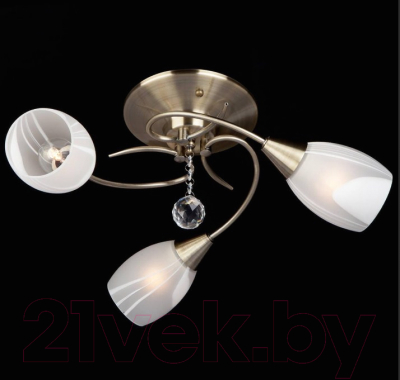 Люстра Евросвет Virginia 30100/3