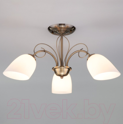 Люстра Евросвет Stefanie 30107/3 - фото