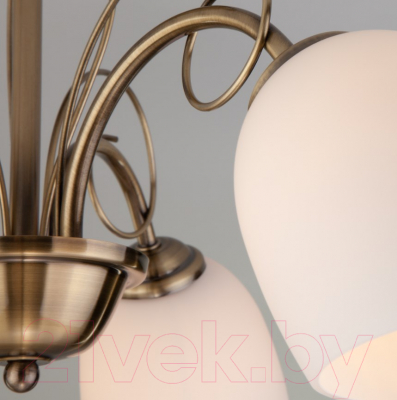 Люстра Евросвет Stefanie 30107/3