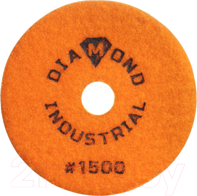 Шлифовальный круг Diamond Industrial DIDCHSH1500