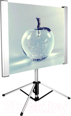 Проекционный экран Cactus TriAlExpert CS-PSTALE-180X102 - фото