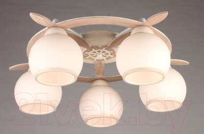 Люстра Omnilux Fronteira OML-50517-05