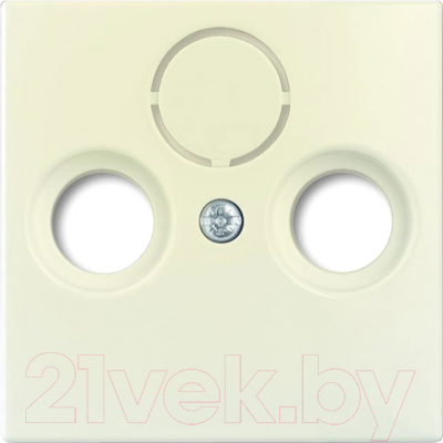 Лицевая панель для розетки ABB Basic 55 1724-0-4284 - фото