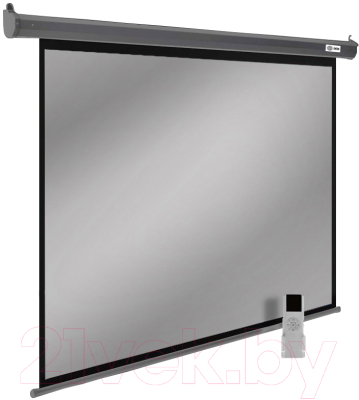 Проекционный экран Cactus SIlverMotoExpert CS-PSSME-200X150-DG - фото