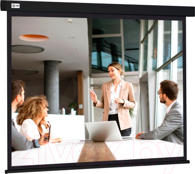 Проекционный экран Cactus CS-PSW-168X299-BK - фото