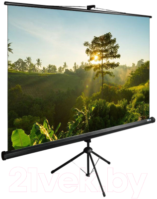 Проекционный экран Cactus TriExpert CS-PSTE-200X200-BK