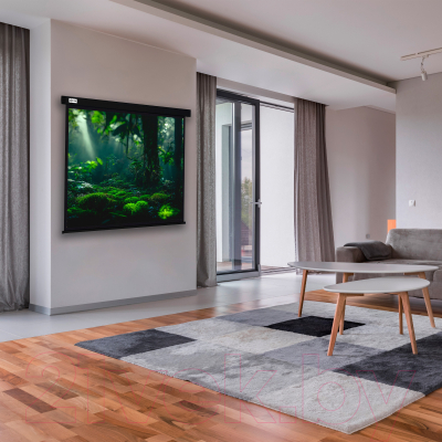 Проекционный экран Cactus Wallscreen CS-PSW-213X213-BK