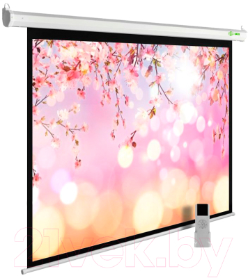 Проекционный экран Cactus MotoExpert CS-PSME-220X220-WT