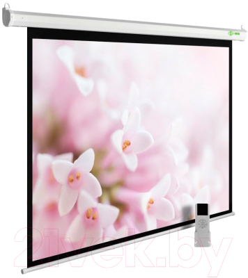 Проекционный экран Cactus MotoExpert CS-PSME-240X240-WT
