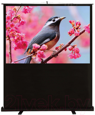 Проекционный экран Cactus FloorCompactExpert CS-PSFLCE-120X90