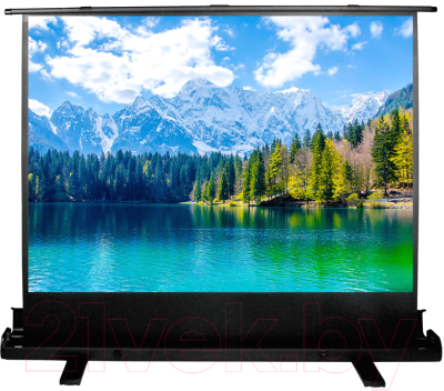 Проекционный экран Cactus FloorExpert CS-PSFLE-160X90