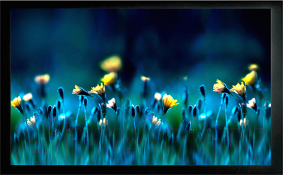 Проекционный экран Cactus FrameExpert CS-PSFRE-200X113 - фото