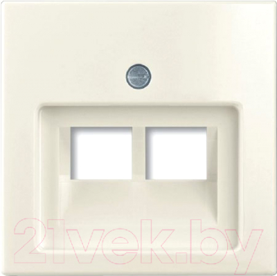 Лицевая панель ABB Basic 55 1753-0-0209 - фото