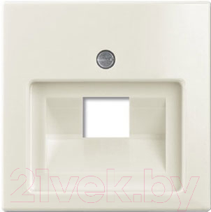 Лицевая панель ABB Basic 55 1753-0-0210 - фото