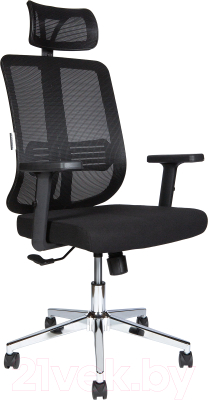 Кресло офисное Norden Tema Сhrome 2D / 216A-Сhrome-2D-B-BB - фото