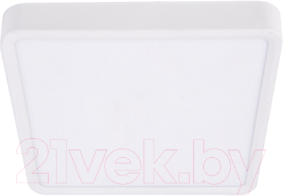 Потолочный светильник Ultra NP S 24W 4000K (РР)