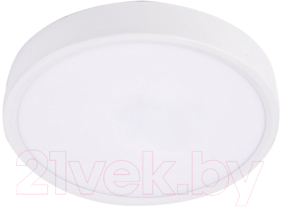 Потолочный светильник Ultra NP 24W 3000K (РР) - фото